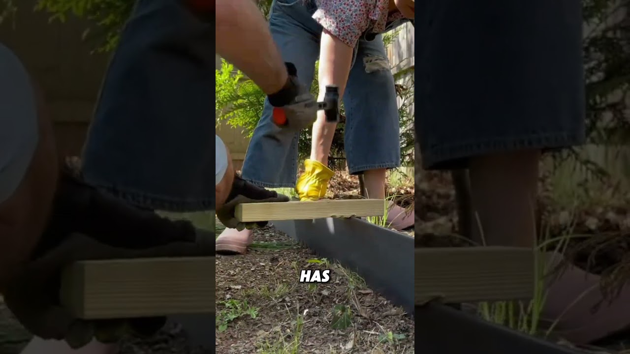 How to Get a Clean Edging Line Every Time 🌿🛠️