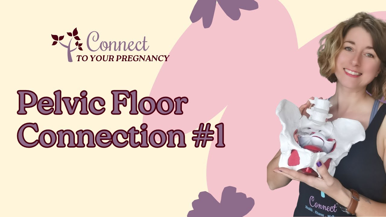 Pelvic Floor Connection During Pregnancy