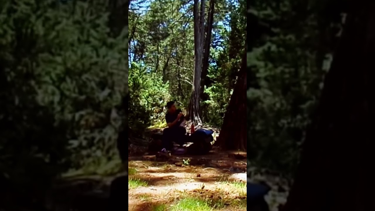 Pan con malta en el arvi