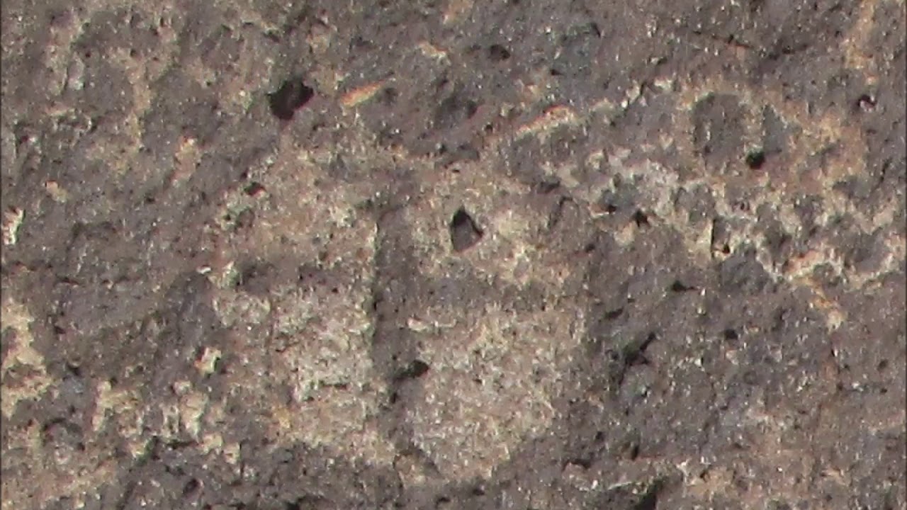 The Sacred Medicine Wheel