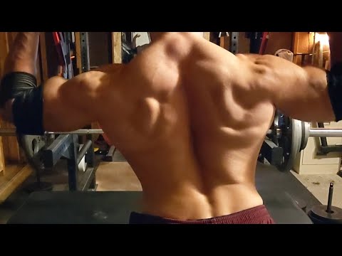 My philosophy regarding upper back training (part. 2)