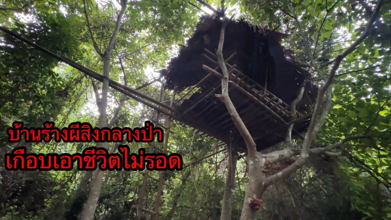 หลงไปเจอบ้านร้างกลางป่า”ต้องหนีเอาชีวิตรอดกลางดึก..เฮี้ยนมาก???