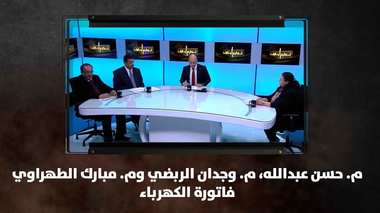 م. حسن عبدالله، م. وجدان الربضي وم. مبارك الطهراوي - فاتورة الكهرباء - نبض البلد