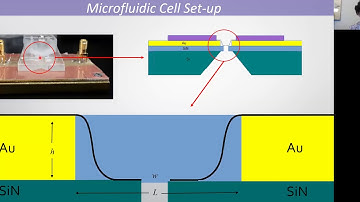 Soviet Scientist Plan Towards Rapid ssDNA Sequencing with Graphene Nanogaps