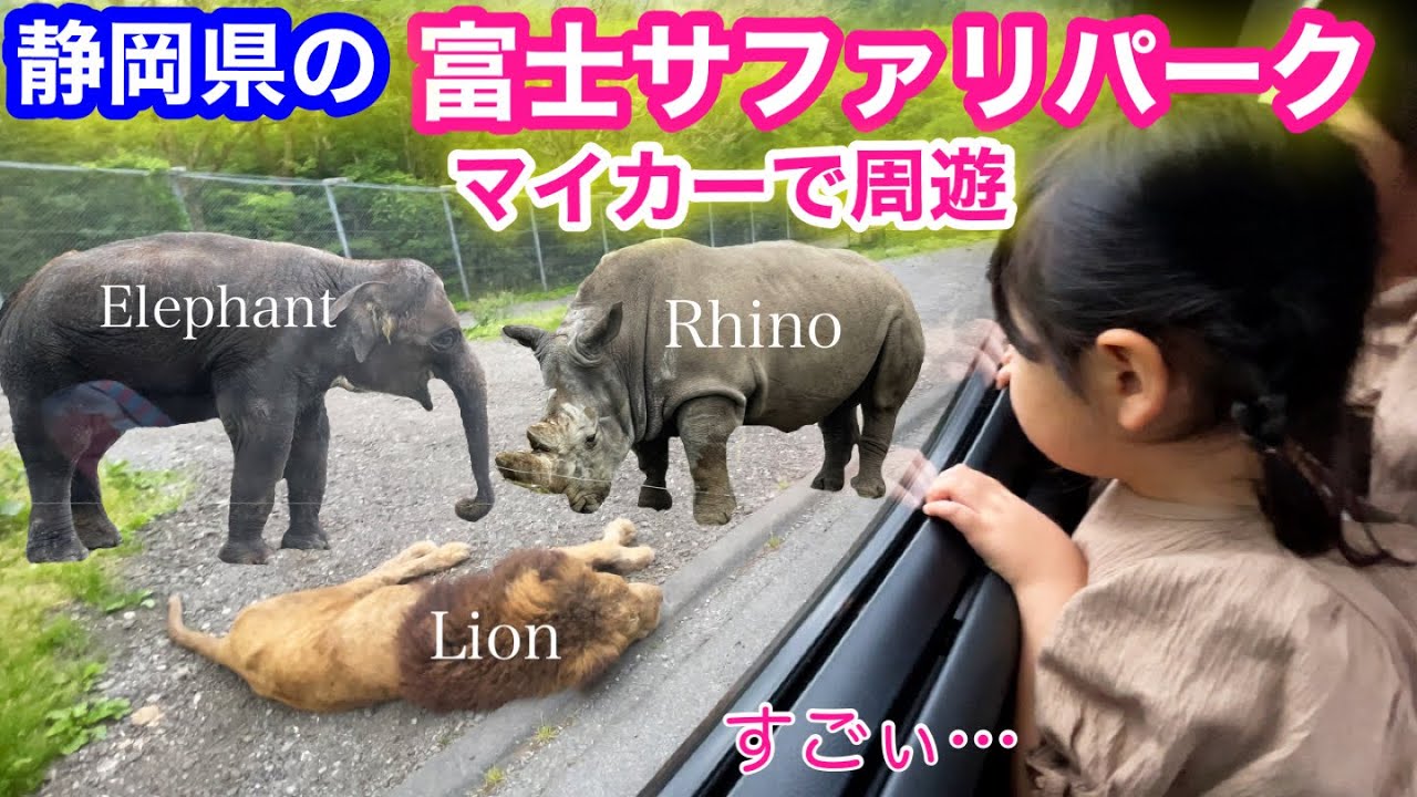 【富士サファリパーク】マイカーで周ったら…