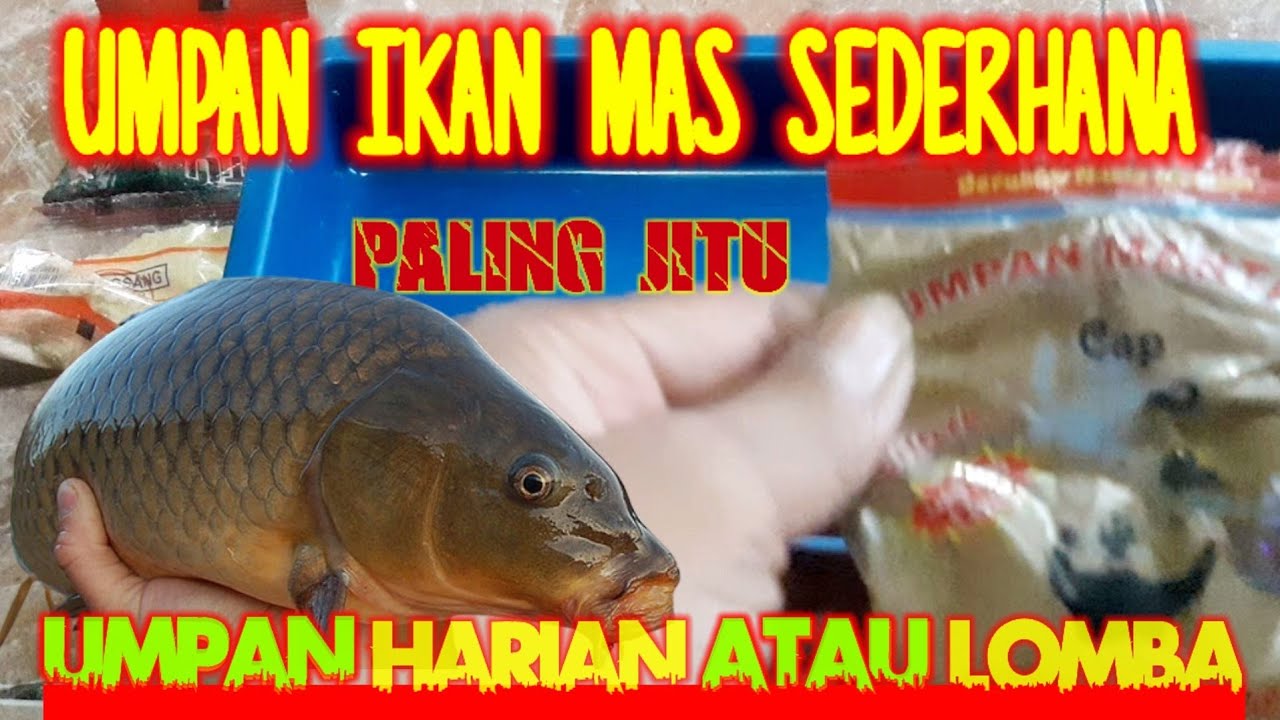 umpan wayang jitu choya|| kalian wajib coba umpan ini bohong kalau ikan