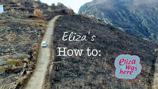 Elizas Bos Zo Plant Je Een Boom In 7 Stappen