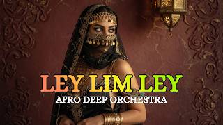 Ibrahim Tatlises - Ley Lim Ley (Epic Afro Orchestra Version) 🎻🔥 Desert Night Vibes