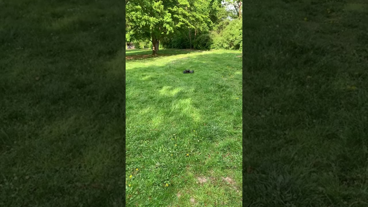 Team Corally Dementor first run on 4S middle diff to soft? Have fun in the sun