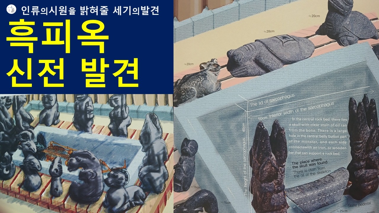 인류의시원을밝혀줄 흑피옥신전발굴 — Transcript