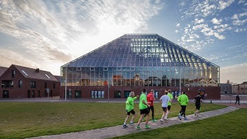 Winy Maas interview: MVRDV