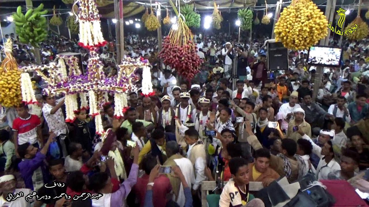 وادي زبيد يحتفل مع أبنائه من آل الغزالي بزف الأقمارعبدالرحمن وأحمد وإبراهيم الغزالي غناء يوسف البدجي