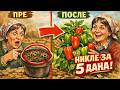 Samo dodajte OVO: Tajna metoda da čak i "mrtve" paprike niknu za tačno pet dana!