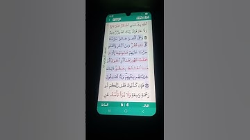 سورة الأنعام الآية 146 سعد الغامدي