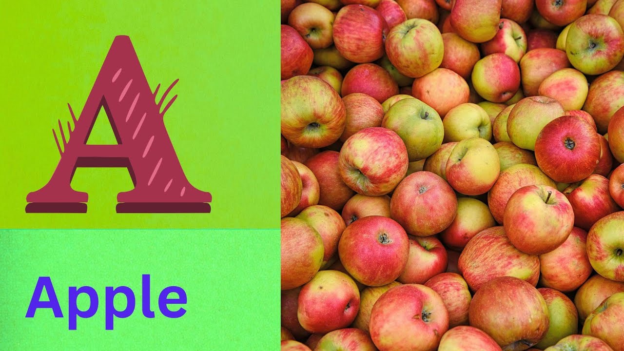 ABC Phonics Song | Alphabet letter sounds | ABC learning for toddlers | Education ABC Nursery Rhymes