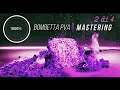 BOMBETTA PVA🎣MASTERING Collection🔥2di4