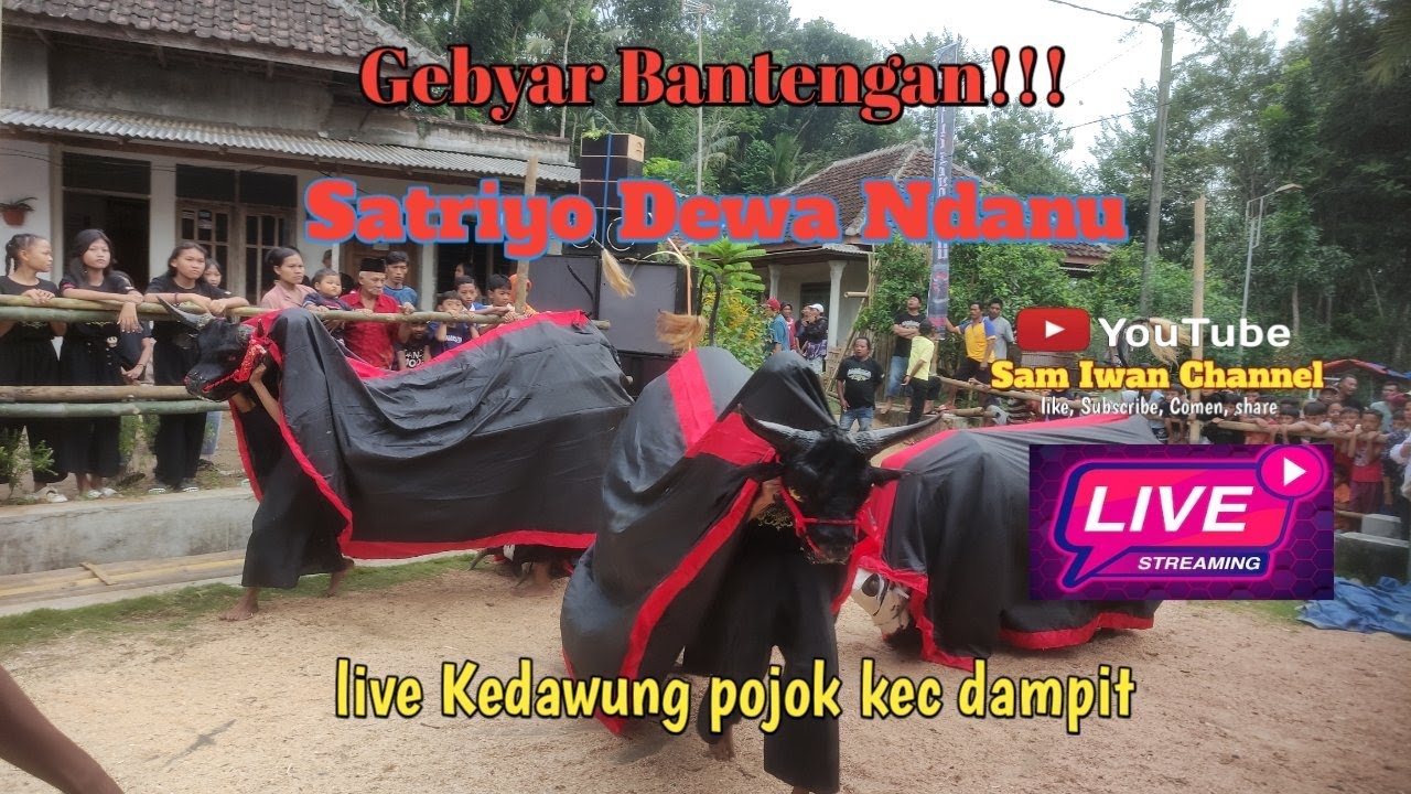 gebyar Bantengan‼️Satriyo Dewa Ndanu live Kedawung pojok kec dampit