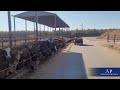 Keep your livestock safe and healthy with the best foggers from Applied Physics.