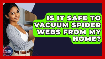 Is It Safe to Vacuum Spider Webs from My Home? - Get Rid Of Guide