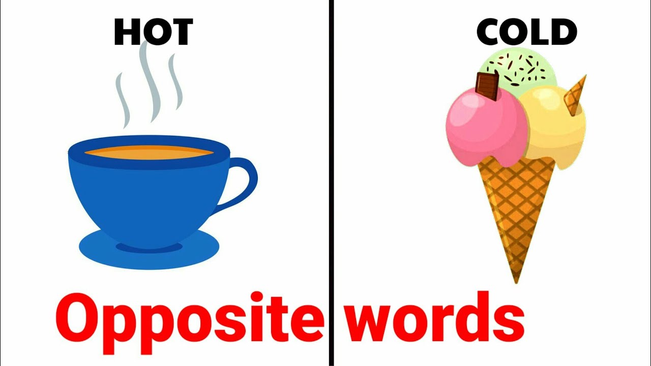 Opposite Words In English | Opposite Words For Preschoolers | Educational Video | Antonym For Kids