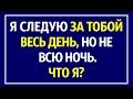 18 Головоломок, Которые Могут Решить Только 5 % Ярчайших Умов