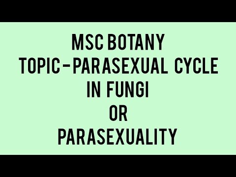 Parasexual Cycle In Fungi | Parasexuality | @ShobhitaThakur0007 #msc # ...