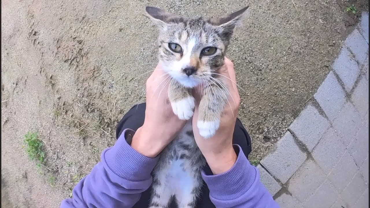 안 닦아 줄 수 없었다(지난 10월 영상)