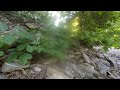 Big spider on mimico creek -  vr180