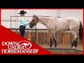 Method Ambassador Morgan Bock - Downunder Horsemanship