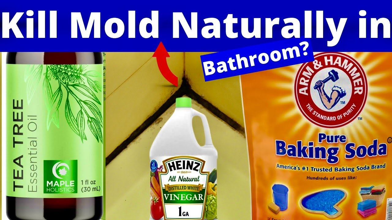 How To Clean Mold From Bathroom Cabinets With Vinegar And Baking Soda ...