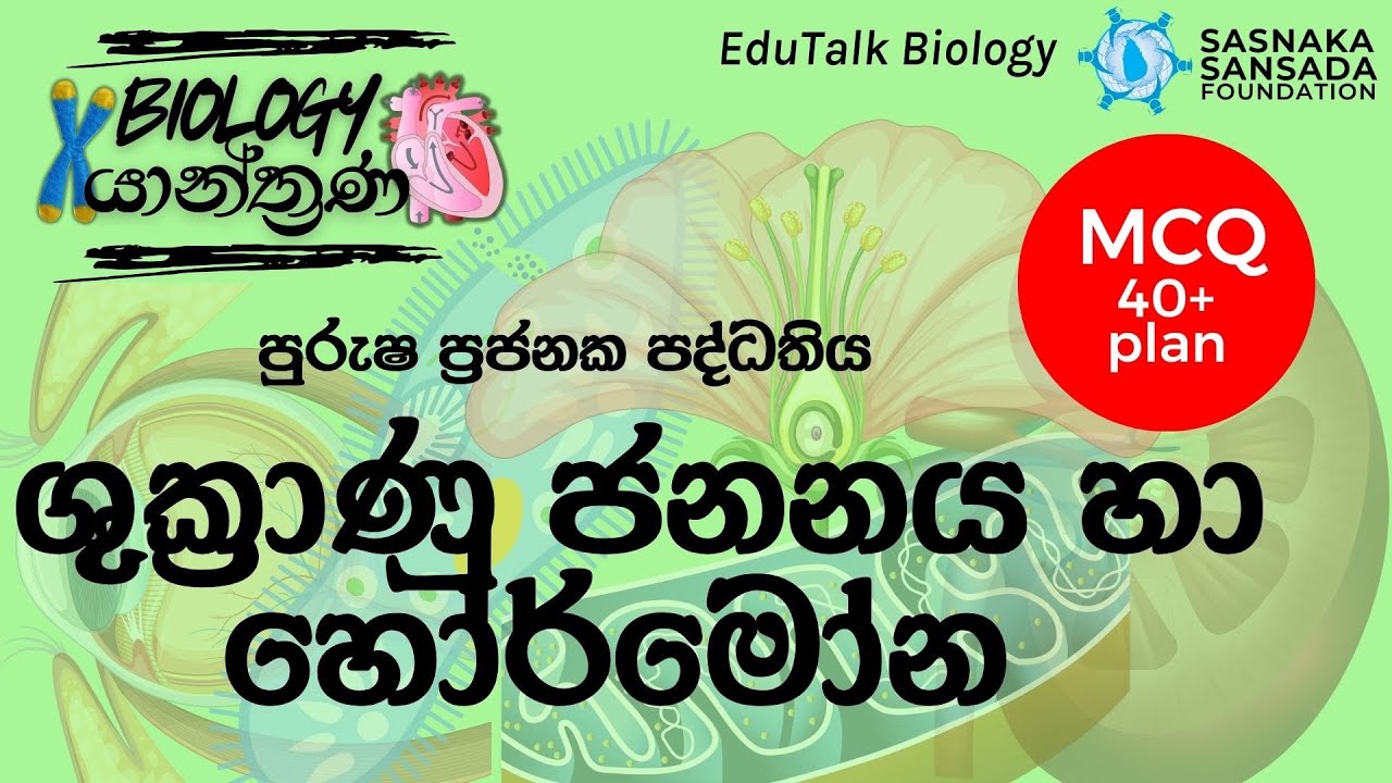 ශුක්‍රාණු ජනනය හා හෝර්මෝන ක්‍රියාකාරීත්වය | Spermatogenesis & Hormone Action | EduTalk Biology