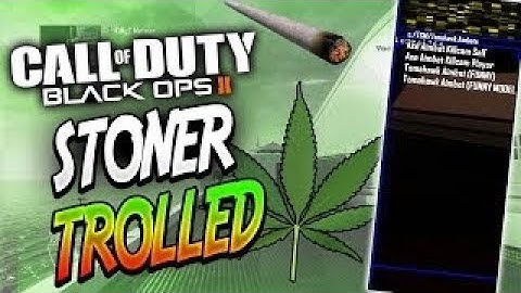 MOD trolling a stoner In Black Ops 2 (2019) INSANE REACTIONS!!