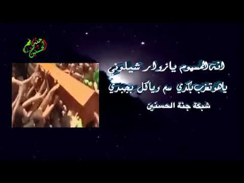 انا المسموم يازوار شيلوني اداء الرادود الصغير محمد جاسم الكعبي