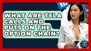 What Are TSLA Calls And Puts On The Option Chain? - Stock and Options Playbook