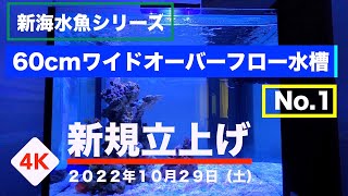 ガ*ウ様 海水魚60cmオーバーフロー水槽 新 海水魚水槽 60センチワイド オーバーフロー水槽 No.1 2022年10月29