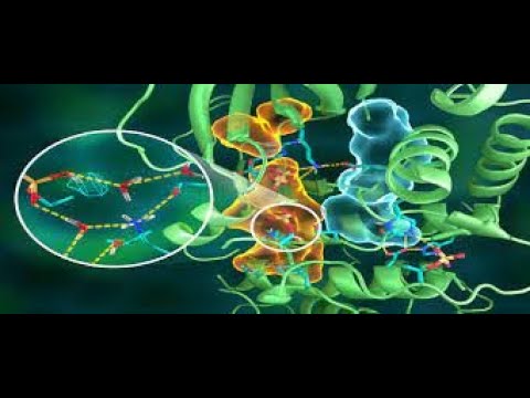 Video: Apa yang dimaksud dengan situs aktif enzim?