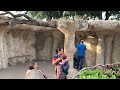 Zoológico La Aurora Guatemala