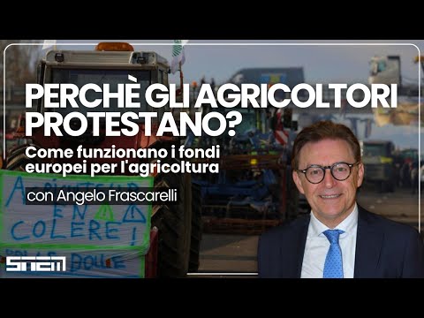 PERCHÈ GLI AGRICOLTORI PROTESTANO? Come funzionano i fondi europei per l'agricoltura