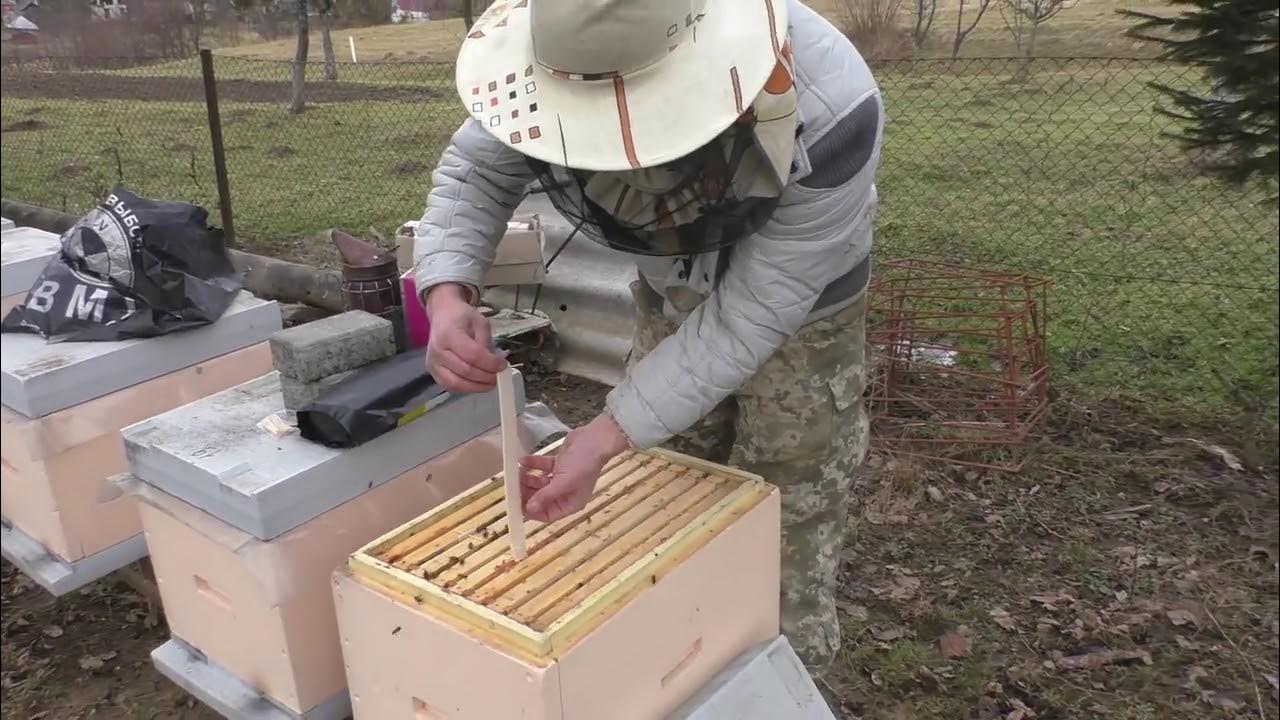 Обработка пчел от клеща летом. Обработка пчел от клеща весной чем лучше. Пчеловодство обработка пчел Мавриком какая дозировка раствора видео. Купить китайские полоски для весенней обработки пчёл на валберис.