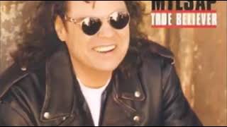 Watch Ronnie Milsap True Believer video