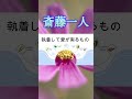 #shorts 唯一、執着して幸せになるもの