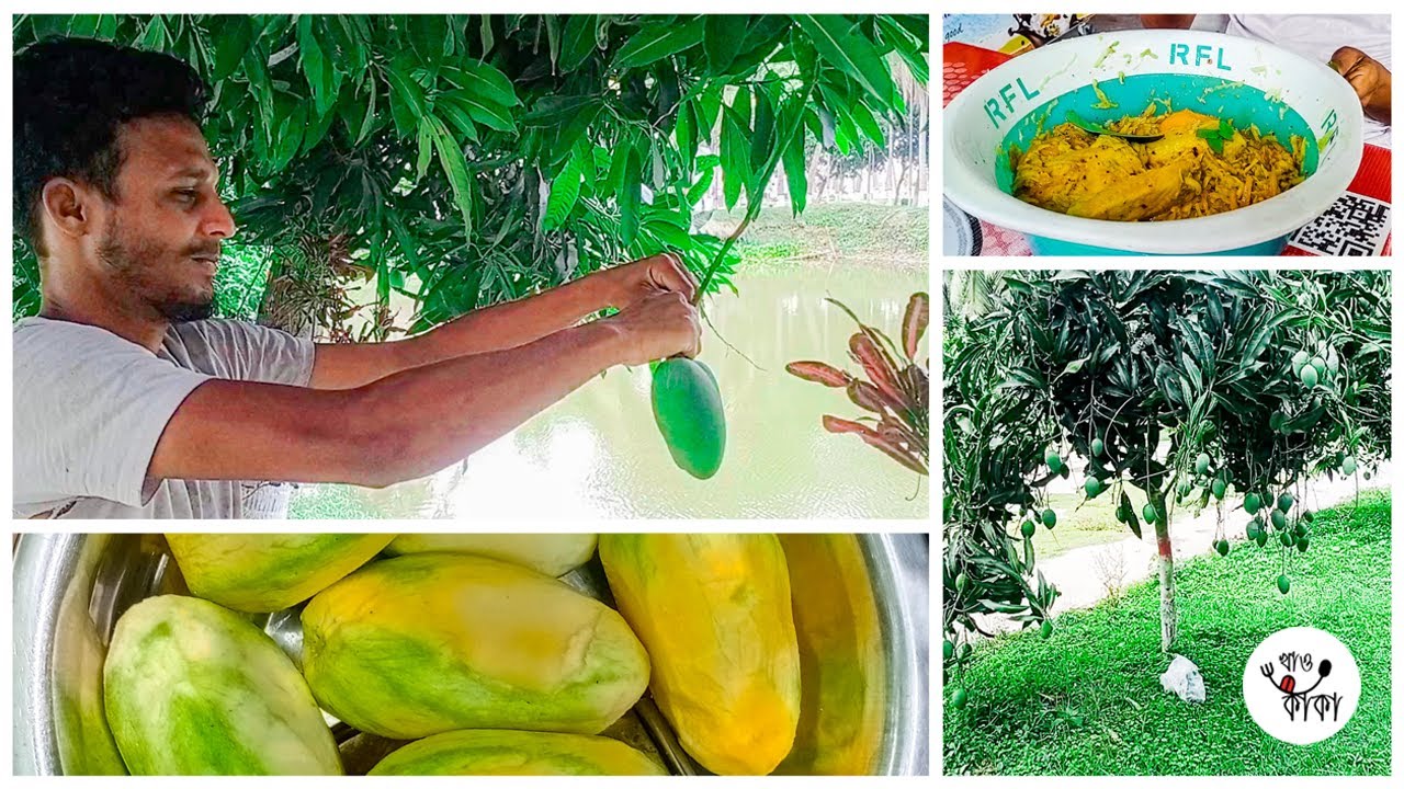 Summer Special Yummy Kacha Aam Makha 😍 | Green Mango Masala Summer Special Food 😍 | খাও কাকা  😍