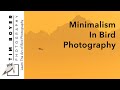 Minimalism In Bird Photography