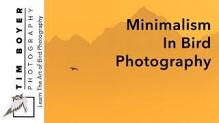 Minimalism In Bird Photography