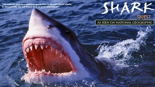Shark Quest by heathsharky 576 views 1 year ago 50 minutes