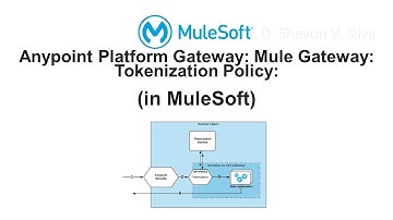 Anypoint Platform Gateway: Mule Gateway: Tokenization Policy:  (in MuleSoft)