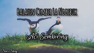 Lagu Karo Hits || Lirik Lagu Karo Balasen Cimber La Nggebuk