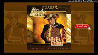 Aniceto Molina   La Brujita Audio HQ