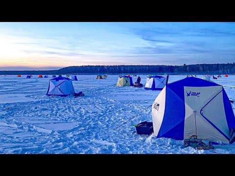 РЫБА ДУРОМ ПОШЛА!!! ТЕПЕРЬ НОЧУЕМ НА ЛЬДУ В ПАЛАТКАХ. Рыбалка весной 2026