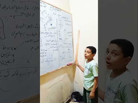 شرح طلبة الصف الخامس لاجهزة النقل في الانسان والنبات العميد